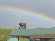 Bear Rainbow